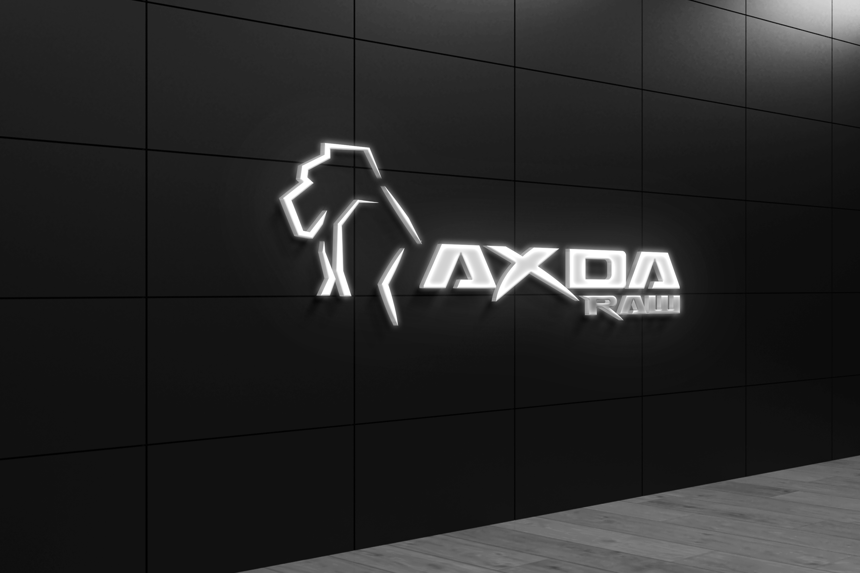 Axda Raw Merchandising Collection